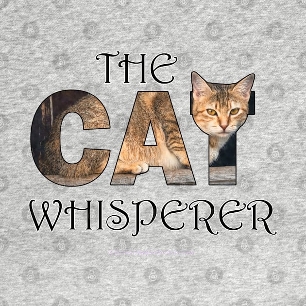 The Cat Whisperer - beige tabby cat oil painting word art by DawnDesignsWordArt